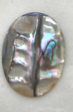 40x30mm abalone shell for sale  Port Charlotte