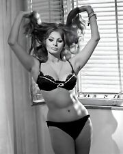 Sexy fotografía impresa de Sophia Loren 8 x 10 foto de actriz de Hollywood, usado segunda mano  Embacar hacia Argentina