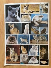 Poster chats whiskas d'occasion  Barr