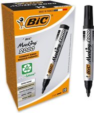 Bic intensity pennarelli usato  Cantu