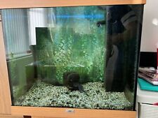 Aquarium fish tank for sale  LIVERPOOL