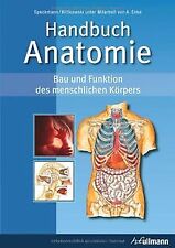Handbuch anatomie bau gebraucht kaufen  Berlin