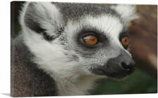 Artcanvas lemur face for sale  Niles
