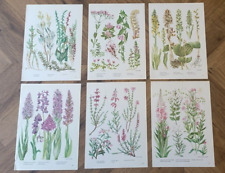 Botanical prints flower for sale  Shipping to Ireland