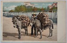 Vintage postcard donkeys for sale  Lake City