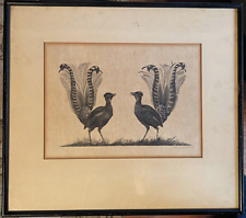 Used, Vintage 19th Century Signed Pencil Sketch-Lyrebirds, Victorian 18"x 15" Framed for sale  Shipping to South Africa