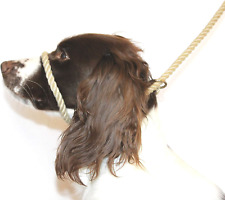 dog halter for sale  BANGOR