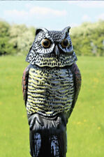 Decoy owl bird for sale  WREXHAM