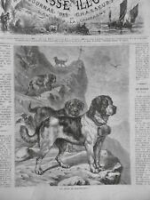 1873 1920 chien d'occasion  Saint-Etienne