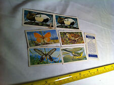 Tea cards butterflies for sale  ALDERSHOT