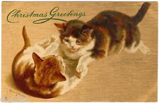 Postcard cats tortoiseshell for sale  Coral Springs