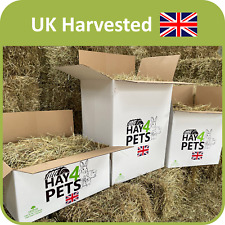 Meadow hay hay4pets for sale  WREXHAM