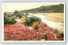 Postcard california palm for sale  Elk Grove
