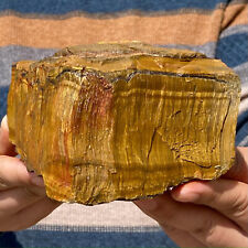 5,66 LB Ojo de Tigre Natural Piedra Cruda Espectáculo de Roca Madagescar, usado segunda mano  Embacar hacia Argentina