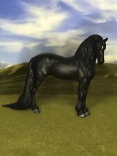 horse friesian for sale  Centralia