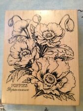 Rare poppies botanical for sale  WARE