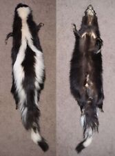 Soft mount skunk for sale  Dayton