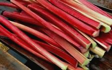 Rhubarb seeds rare for sale  Manitowoc