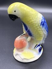 Yellow blue parrot for sale  Ellicott City