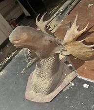 Huge faux taxidermy for sale  KINGSWINFORD