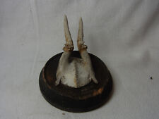 Deer antler round for sale  Shipping to Ireland