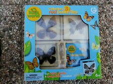 Collection real butterflies usato  Nocera Superiore