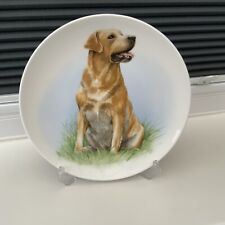 Golden labrador plate for sale  WORCESTER