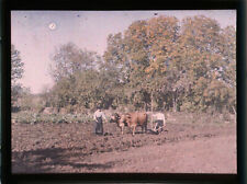 Autochrome lot labourage for sale  Shipping to Ireland