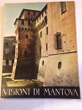 Libro visioni mantova usato  Bergamo