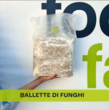 Kit coltivazione funghi usato  Gravina In Puglia