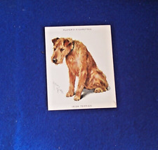 Vintage irish terrier for sale  BASINGSTOKE