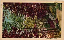 Vintage postcard path for sale  USA