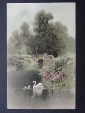 Greeting shows swans for sale  UK