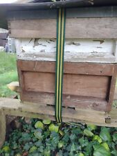 Bee hives live for sale  SALISBURY