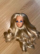 Barbie vintage 70er gebraucht kaufen  Magdeburg