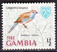 Gambia vogel gebraucht kaufen  Deutschland