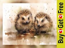 Charming two hedgehogs for sale  PORTSMOUTH