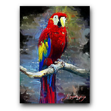 Macaw art card for sale  Pasco