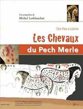 Chevaux pech merle d'occasion  Paris XV