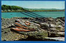 Postcard crocodile rock for sale  UK