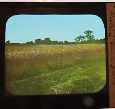 Lantern glass slide for sale  Shipping to Ireland