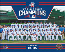 Chicago cubs team for sale  USA