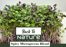 Spicy microgreens blend for sale  Shasta Lake