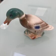 mallard duck for sale  LONDON