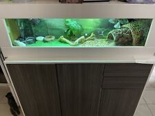 4ft modern reptile for sale  ASHFORD