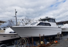 1993 bayliner classic for sale  Centerport