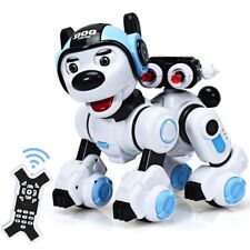 Hund roboter robohund gebraucht kaufen  Wanfried