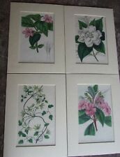 VINTAGE BOTANICAL PRINTS MISS SARAH DRAKE G BARCLAY RIDGWAY 169 PICCADILLY 1846 for sale  Shipping to South Africa