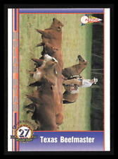 Texas Beefmaster 1991 Pacific Nolan Ryan Texas Express I #104  Texas Rangers, used for sale  Shipping to South Africa