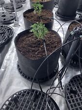 Indoor grow equipment for sale  West Jordan